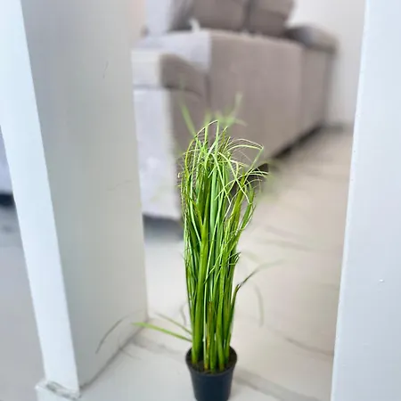 Appartement Stonehouse-pag *
