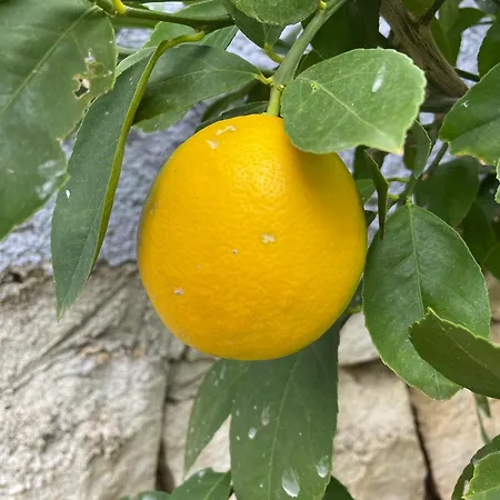 Apartamento Stonehouse-pag *